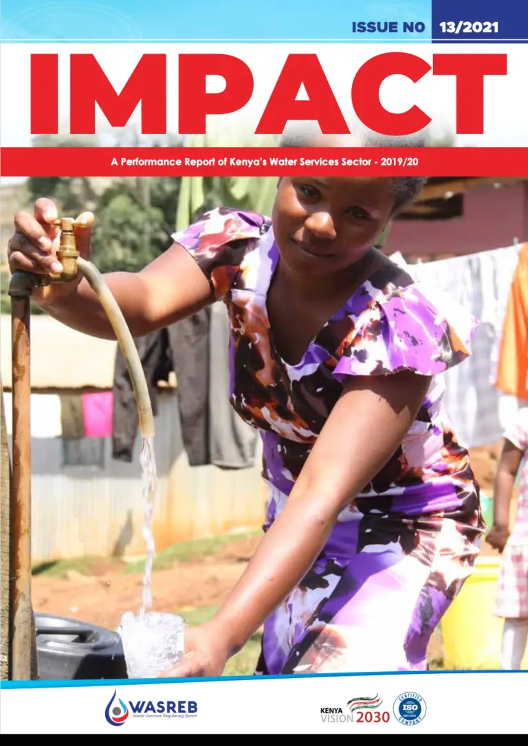 Impact Reports Issue No.13