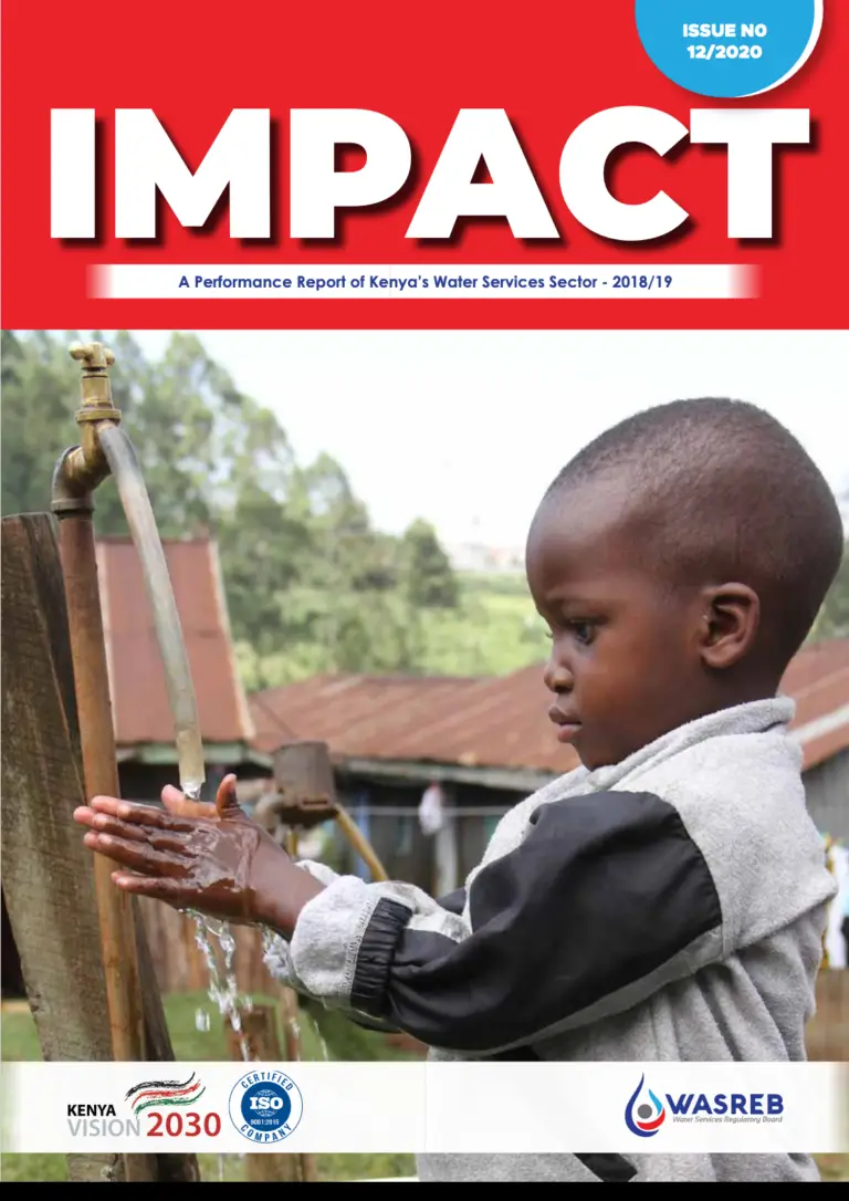 Impact Reports Issue No.12
