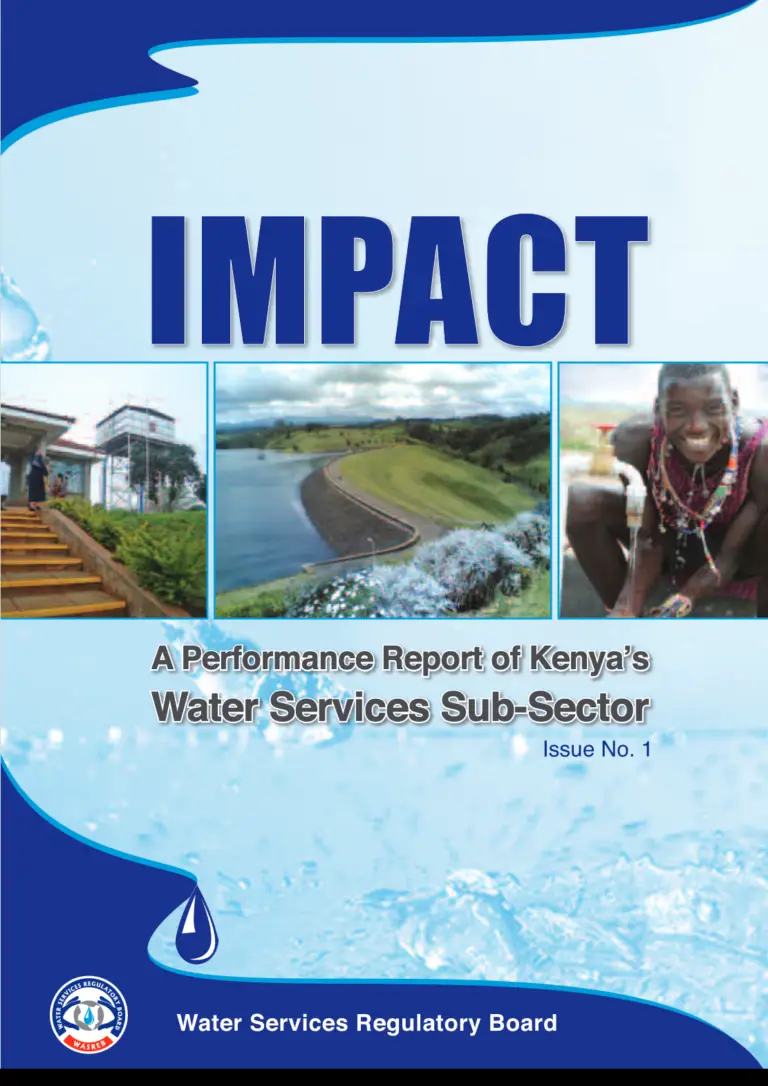 Impact Reports Issue No.1